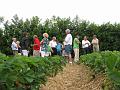 Bezoek aan de Fam. Krijnen, deze streek is bekend voor de aardbeienteelt en wat smaakte ze goed (116)
